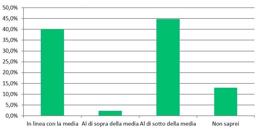 Il ruolo del fleet manager in Italia