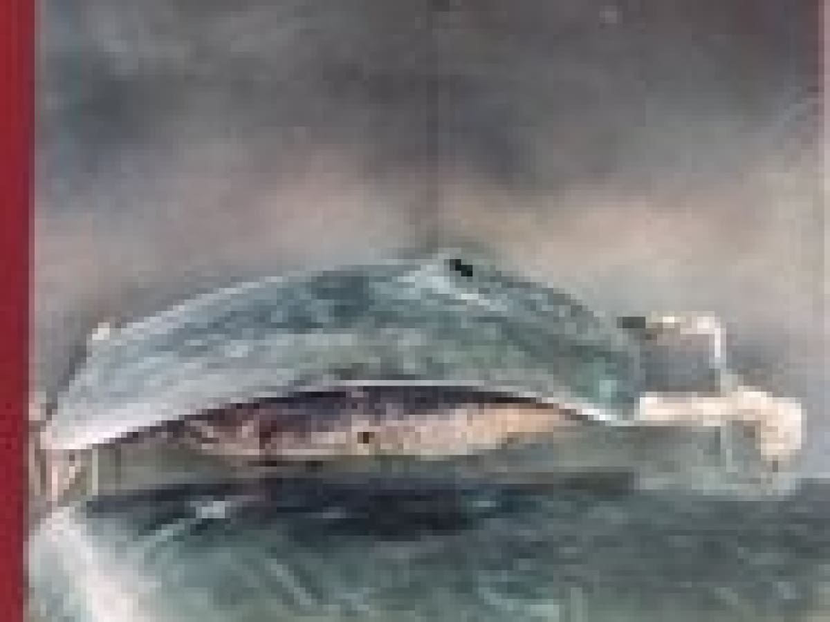 image desc