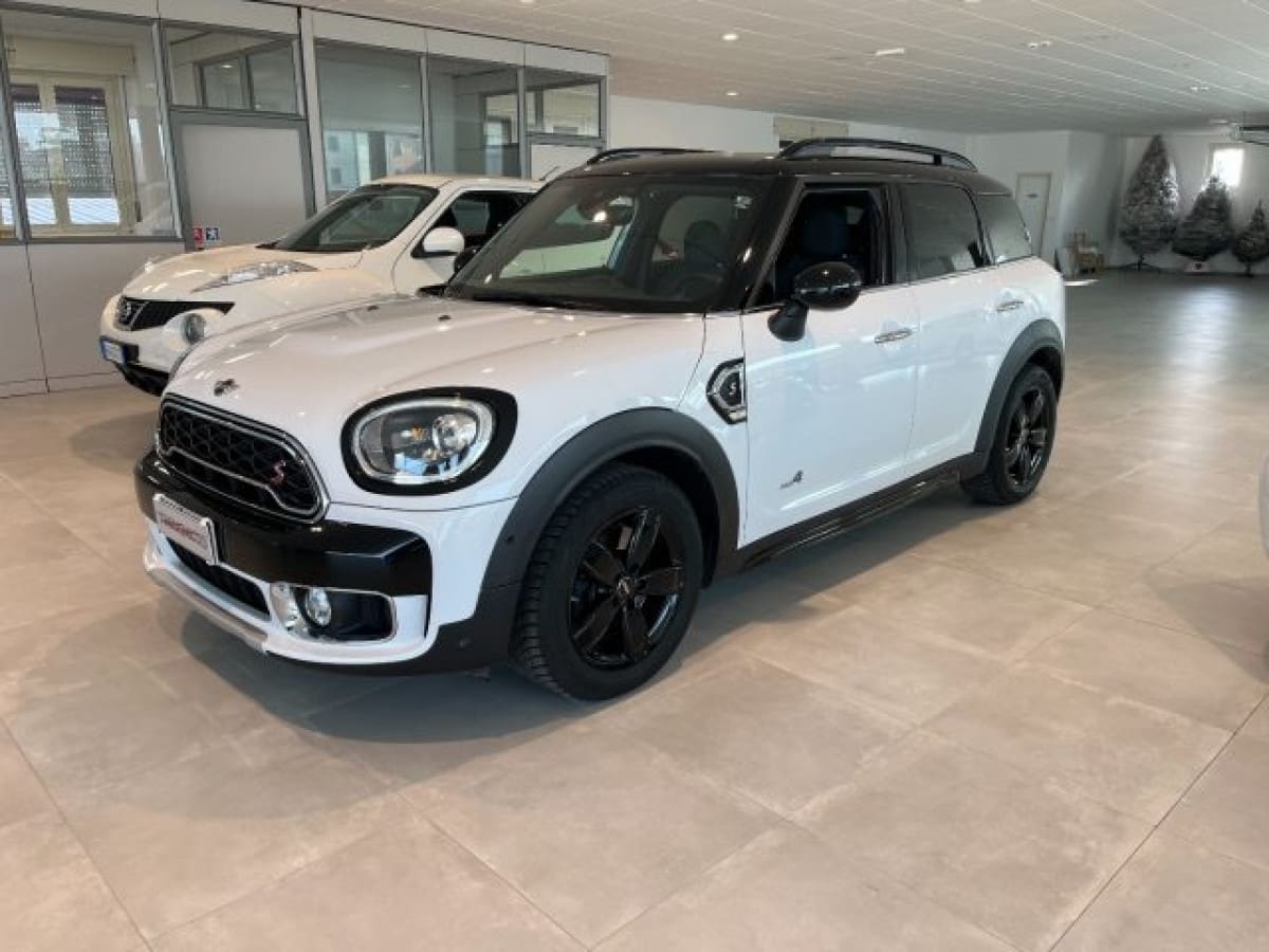 MINI Mini Countryman F60 Usata prezzo e caratteristiche tecniche Auto