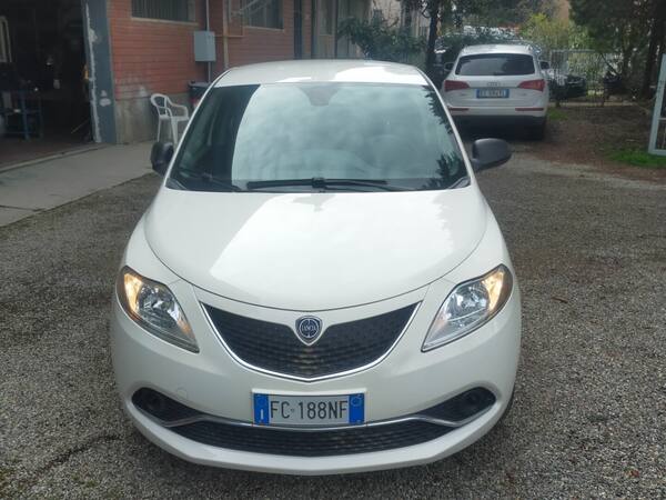 image desc