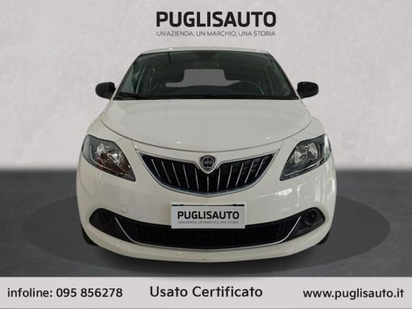 image desc