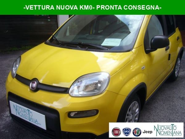 image desc