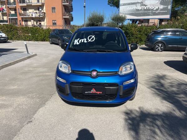image desc
