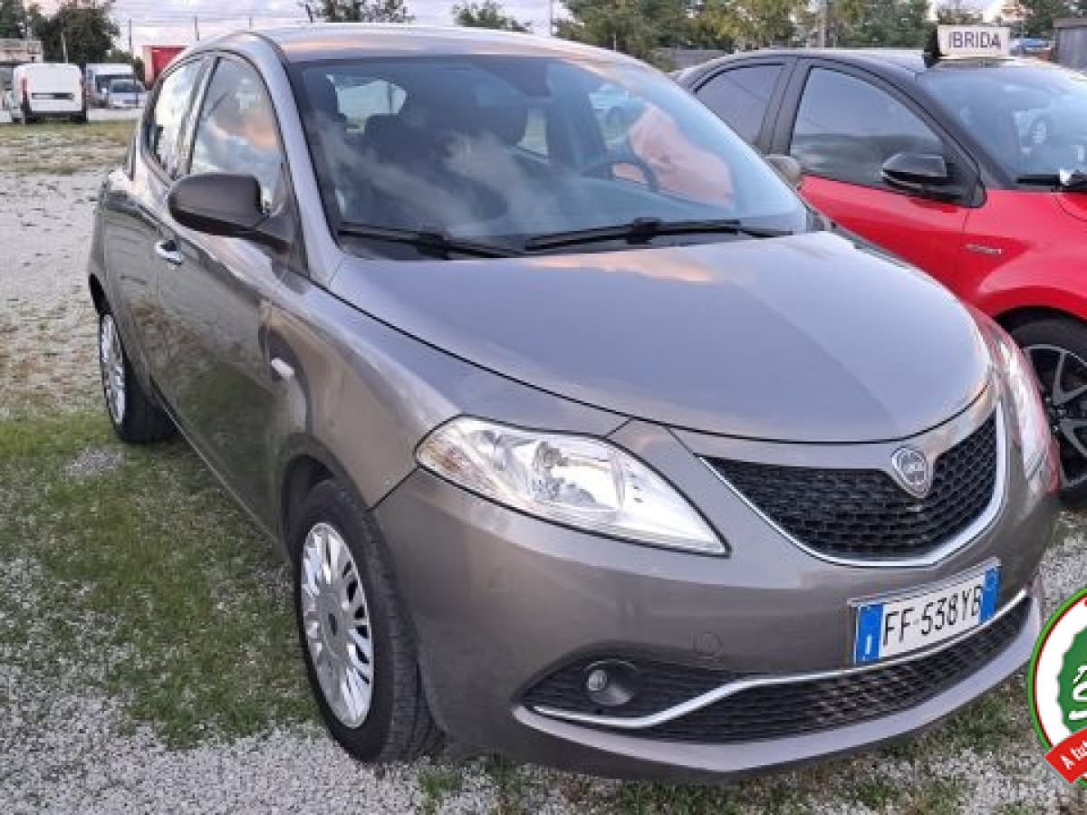 image desc