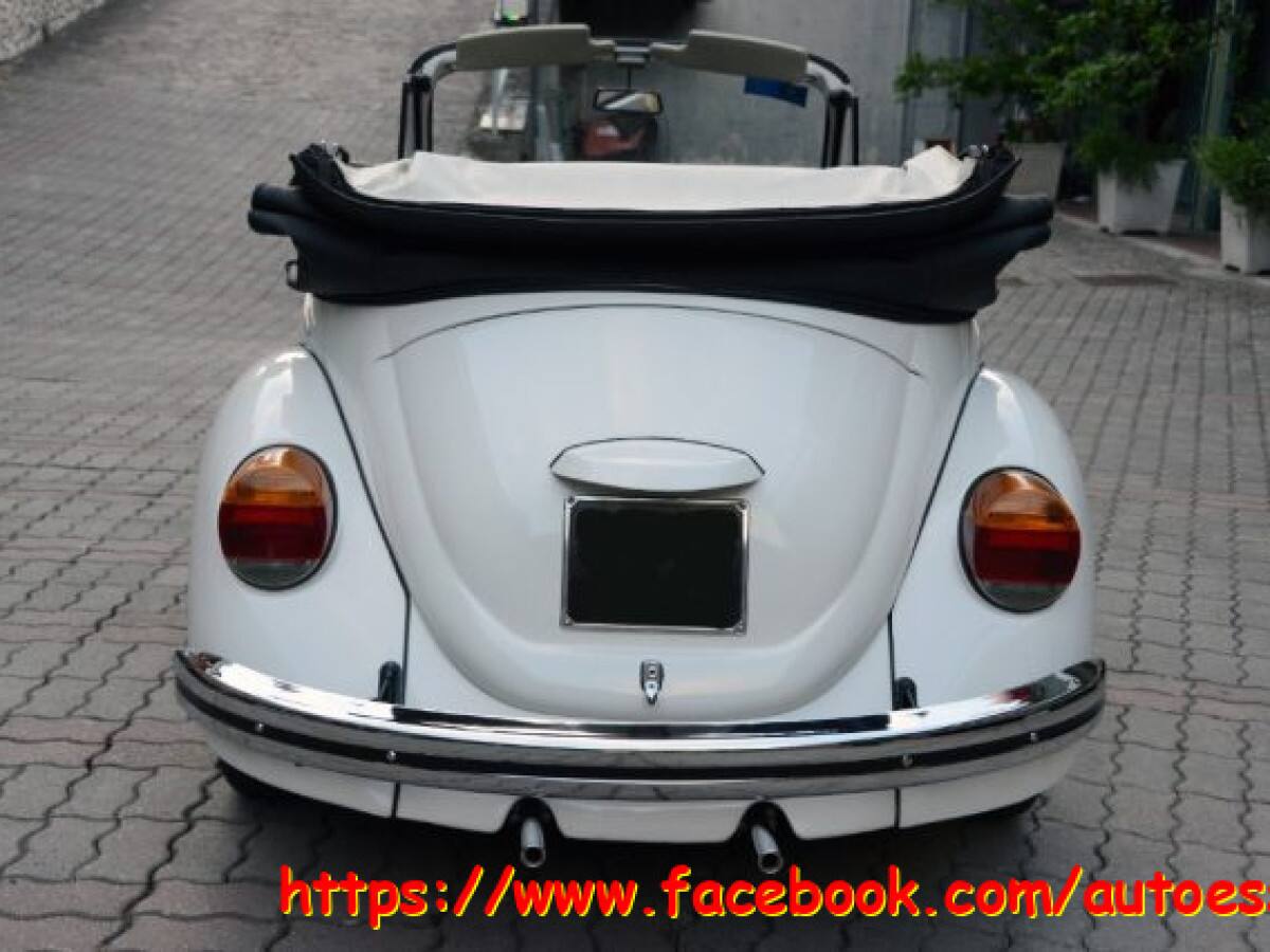 VOLKSWAGEN Maggiolone 12