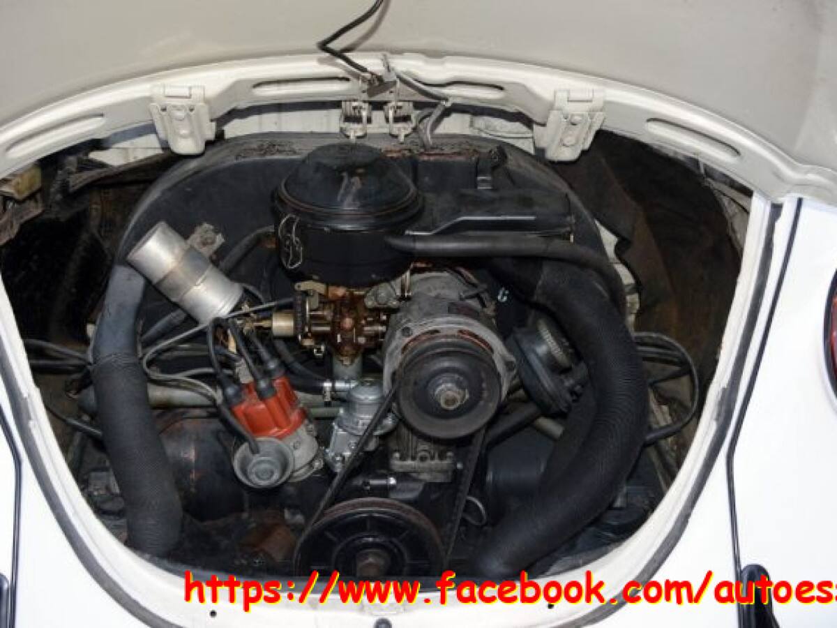 VOLKSWAGEN Maggiolone 14