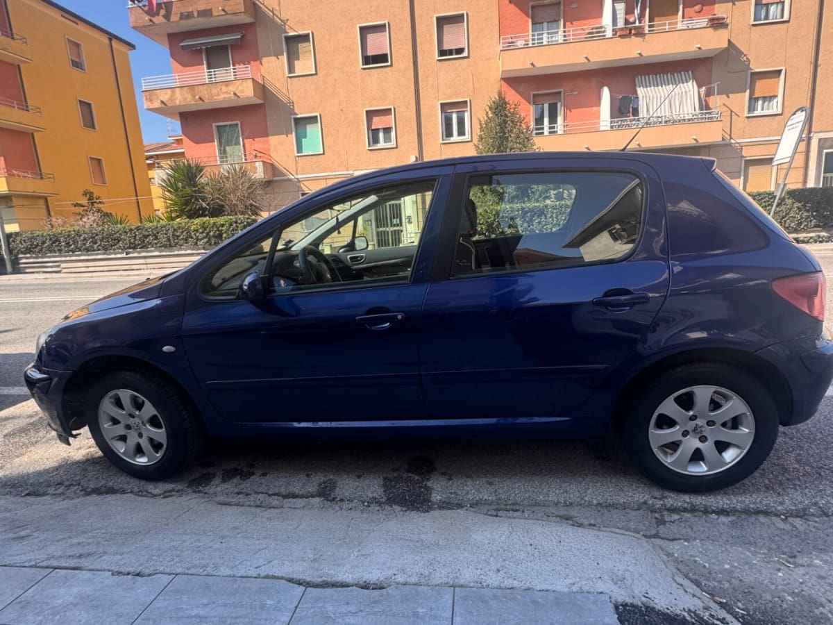 PEUGEOT 307 2