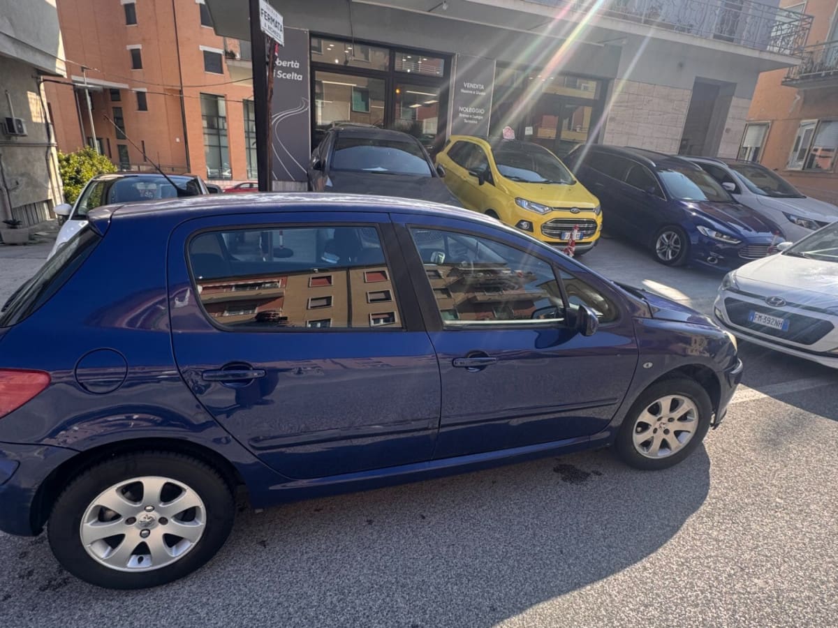PEUGEOT 307 6