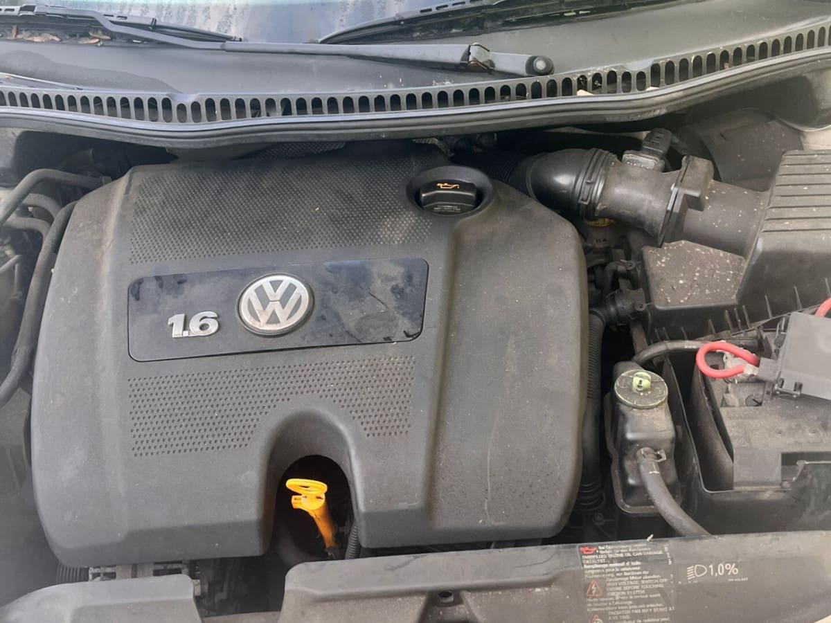 VOLKSWAGEN New Beetle 3