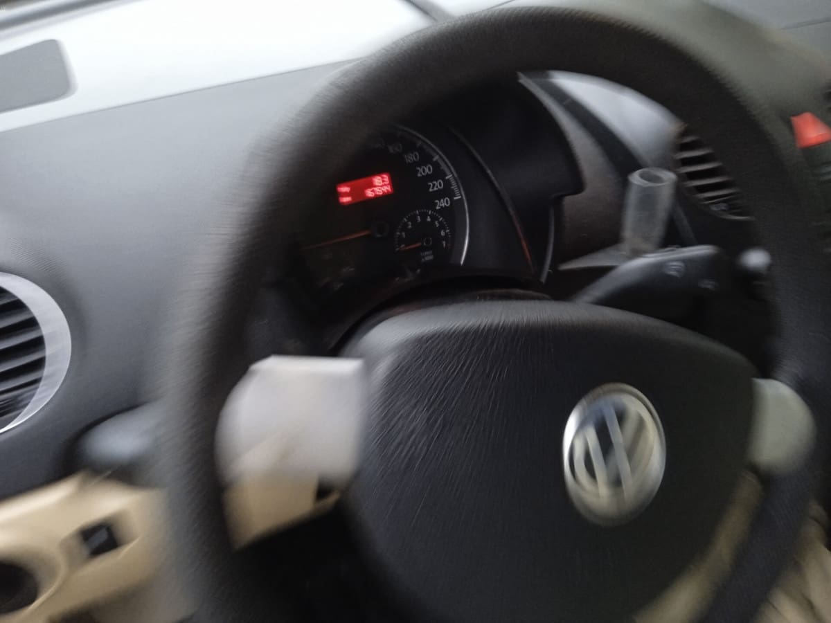 VOLKSWAGEN New Beetle 8