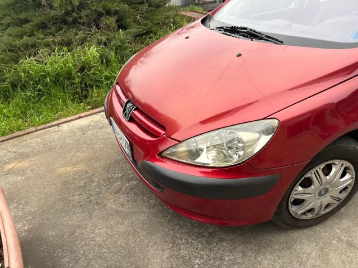PEUGEOT 307 3