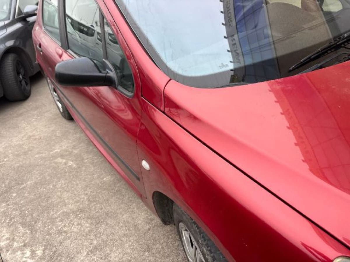 PEUGEOT 307 9