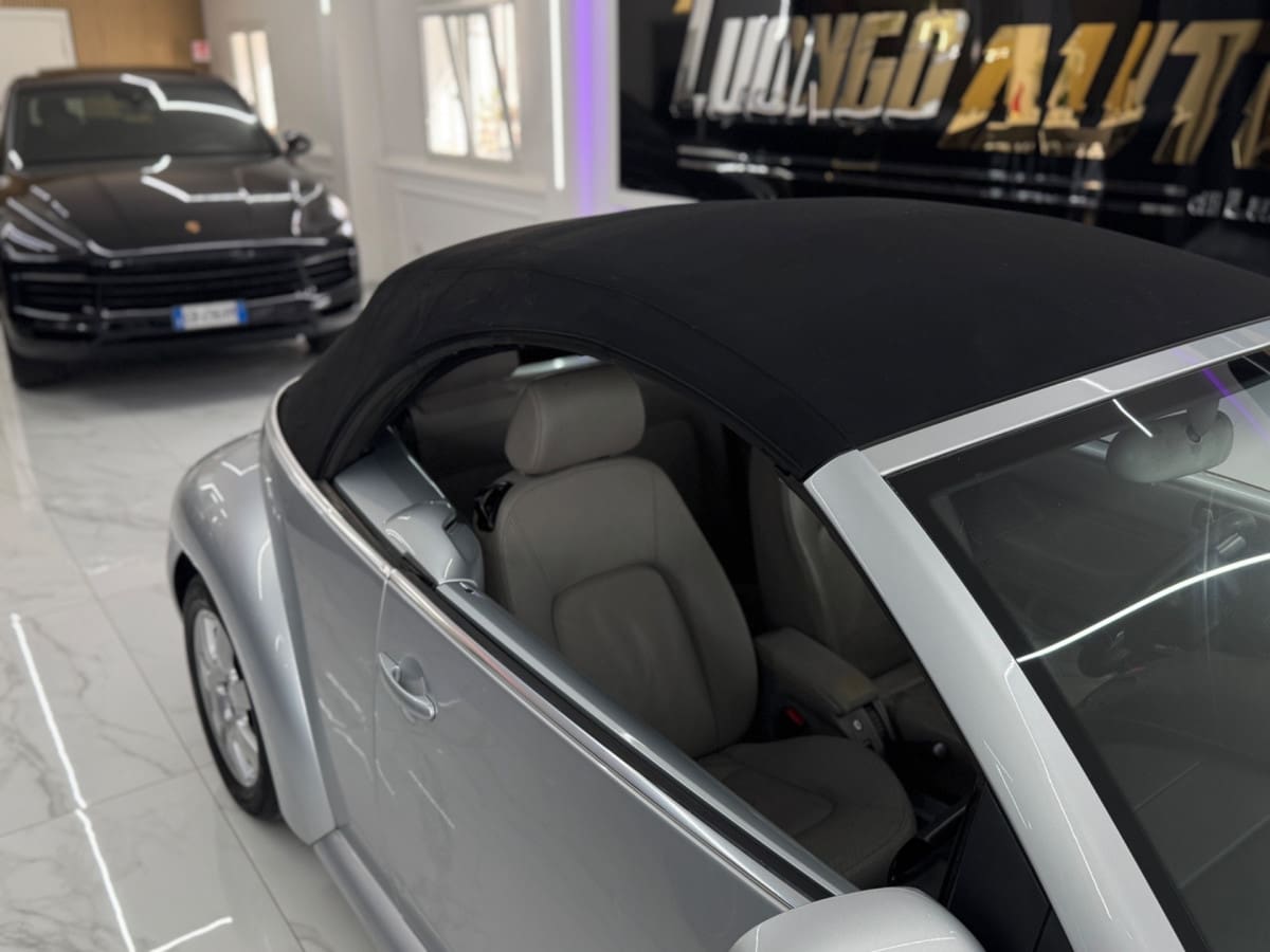 VOLKSWAGEN New Beetle 4