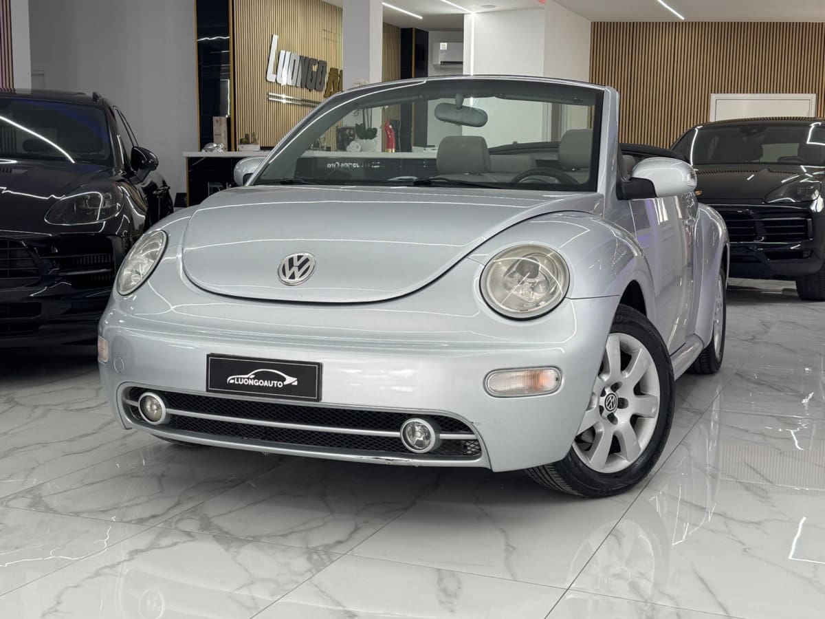 VOLKSWAGEN New Beetle 13