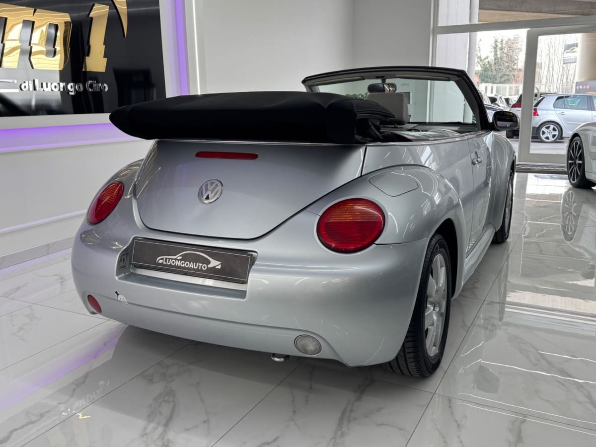 VOLKSWAGEN New Beetle 17