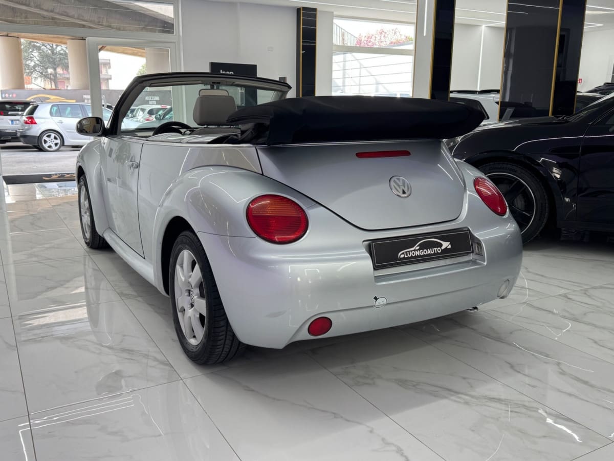VOLKSWAGEN New Beetle 18