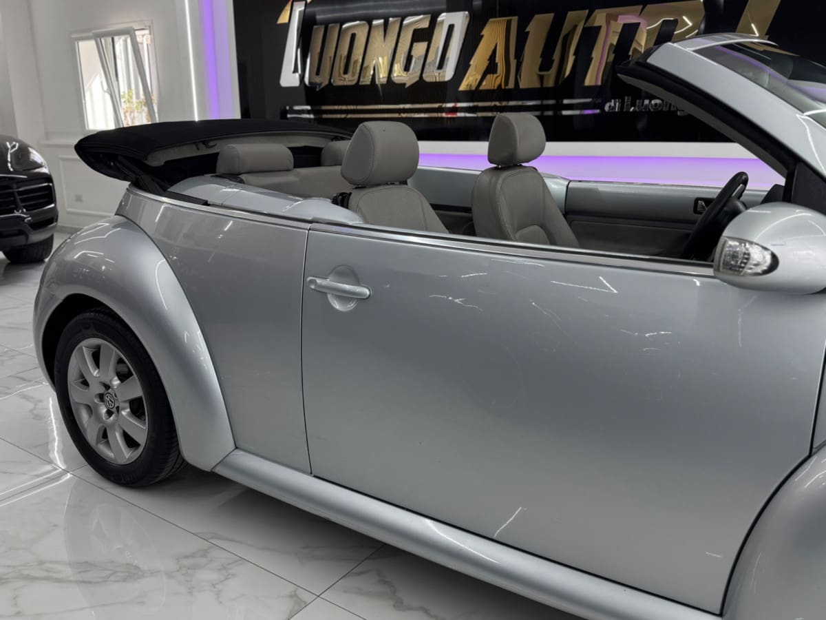 VOLKSWAGEN New Beetle 19