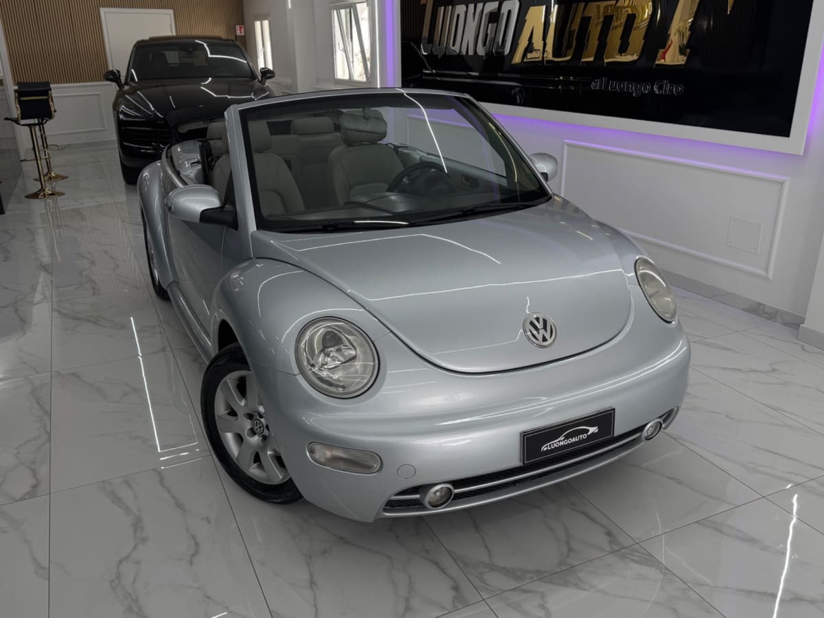 VOLKSWAGEN New Beetle 21
