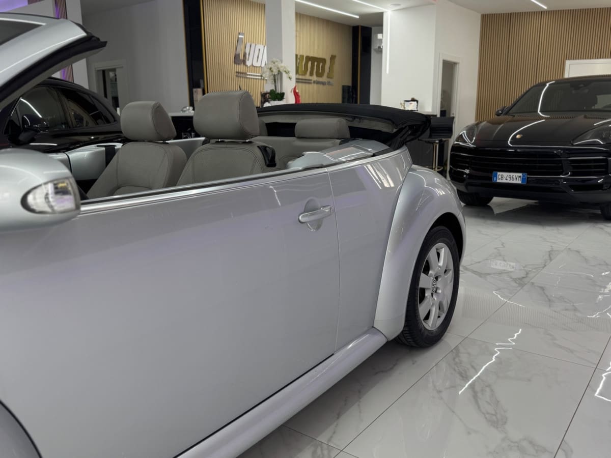 VOLKSWAGEN New Beetle 23