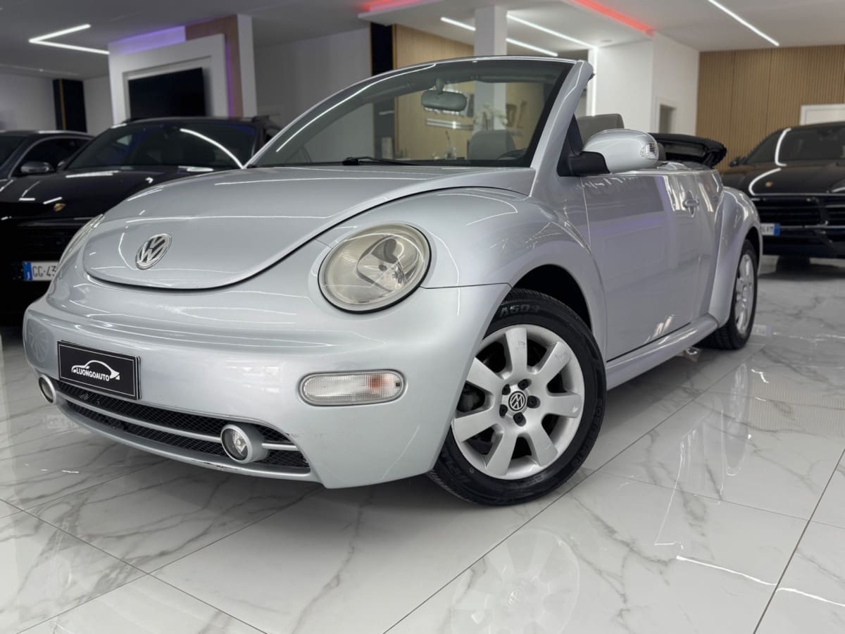VOLKSWAGEN New Beetle 24