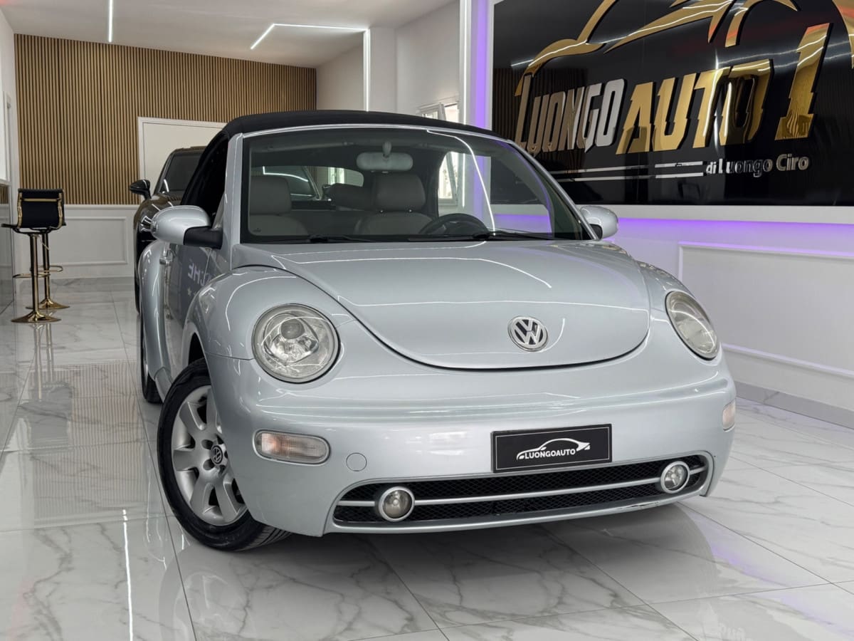 VOLKSWAGEN New Beetle 25