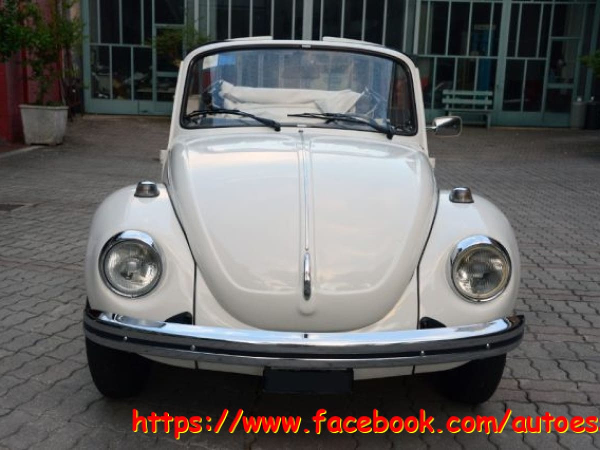 VOLKSWAGEN Maggiolone 8