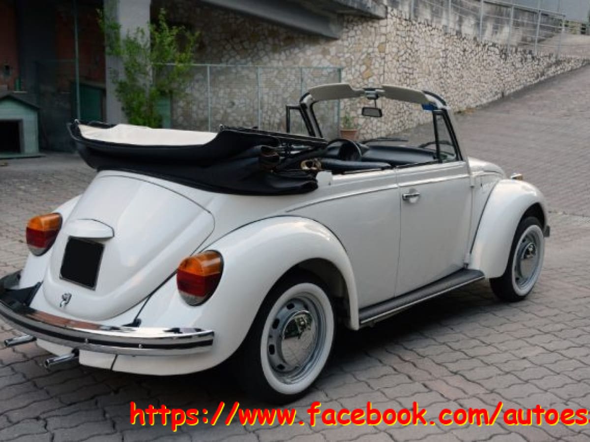 VOLKSWAGEN Maggiolone 11