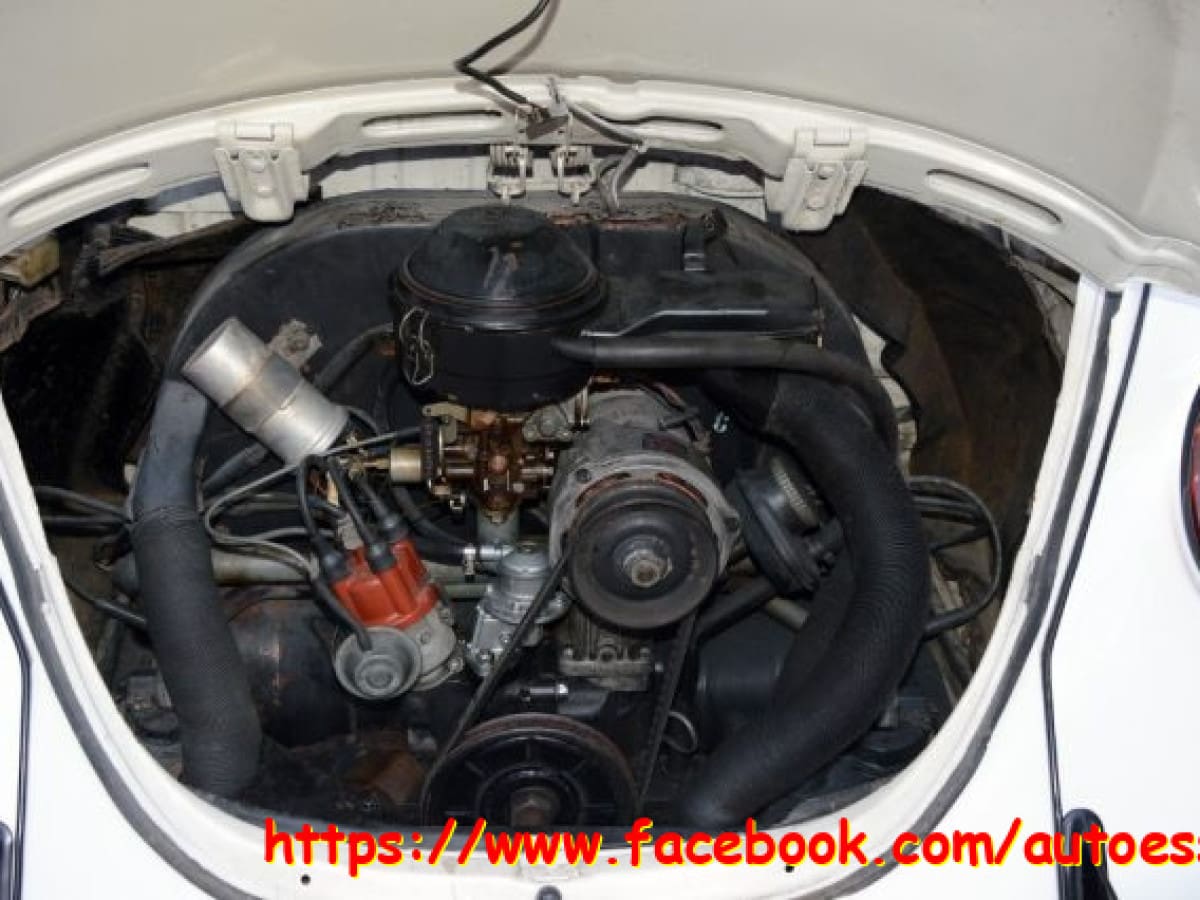 VOLKSWAGEN Maggiolone 14