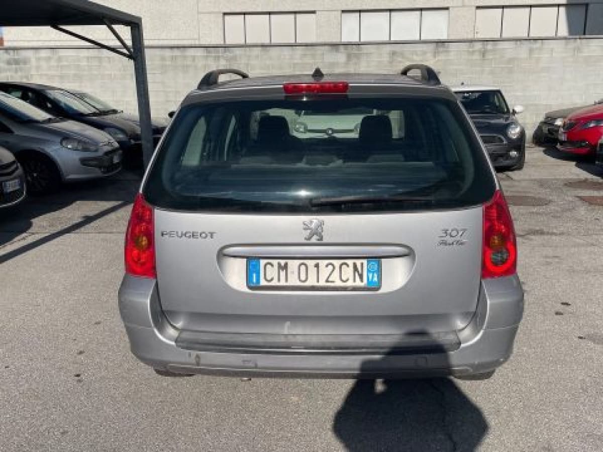 PEUGEOT 307 9