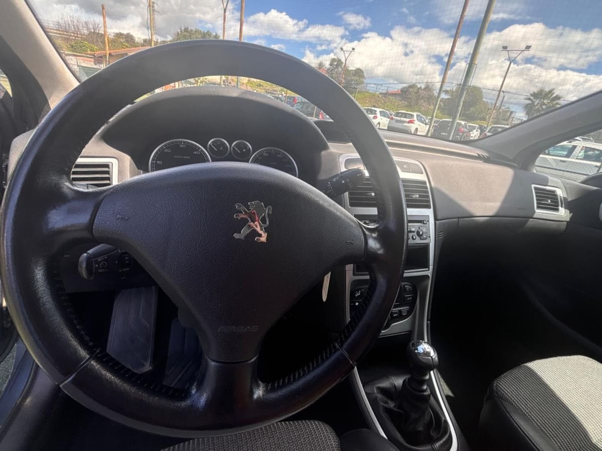PEUGEOT 307 6