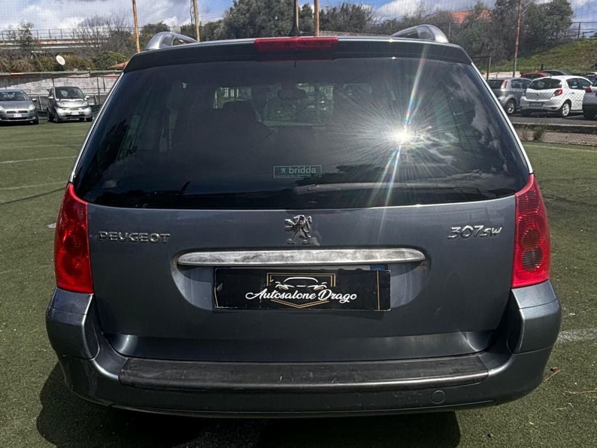 PEUGEOT 307 15
