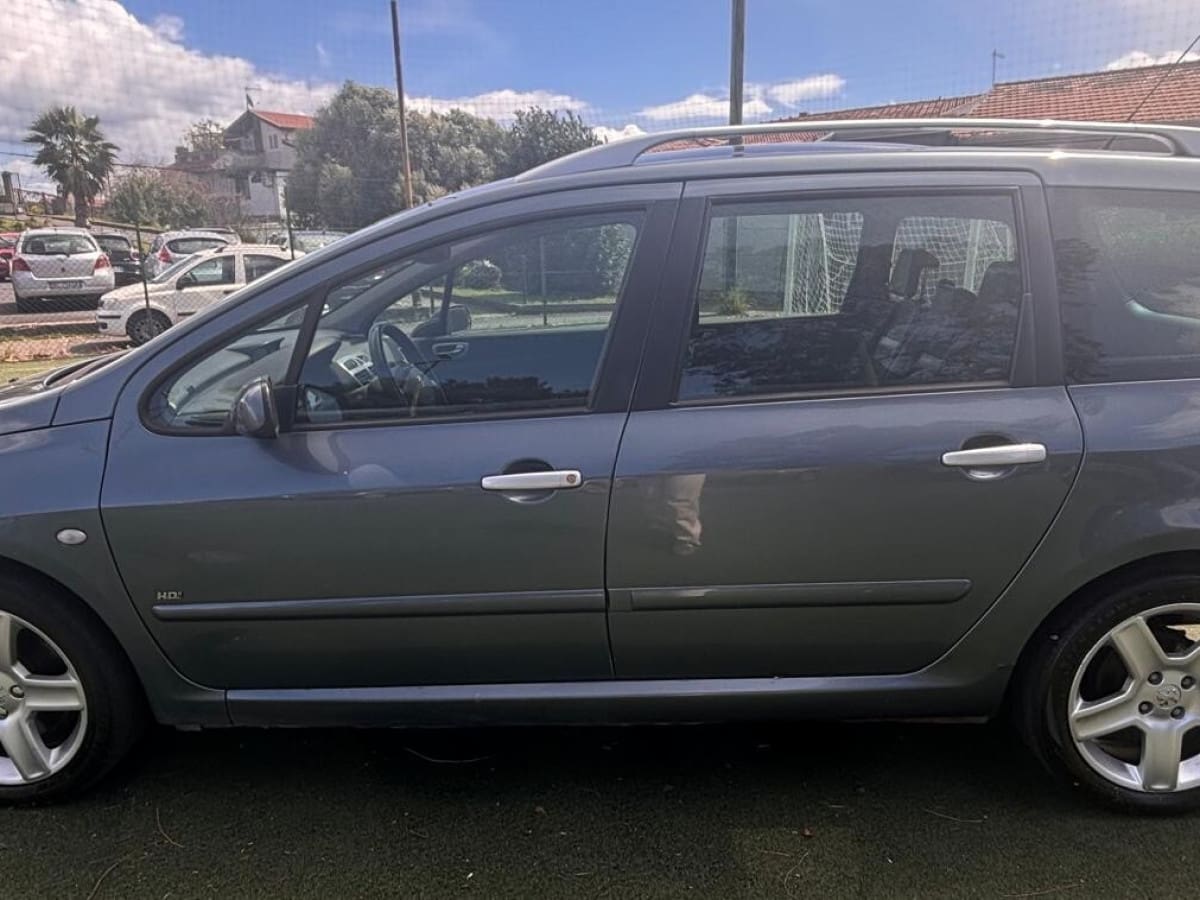 PEUGEOT 307 18