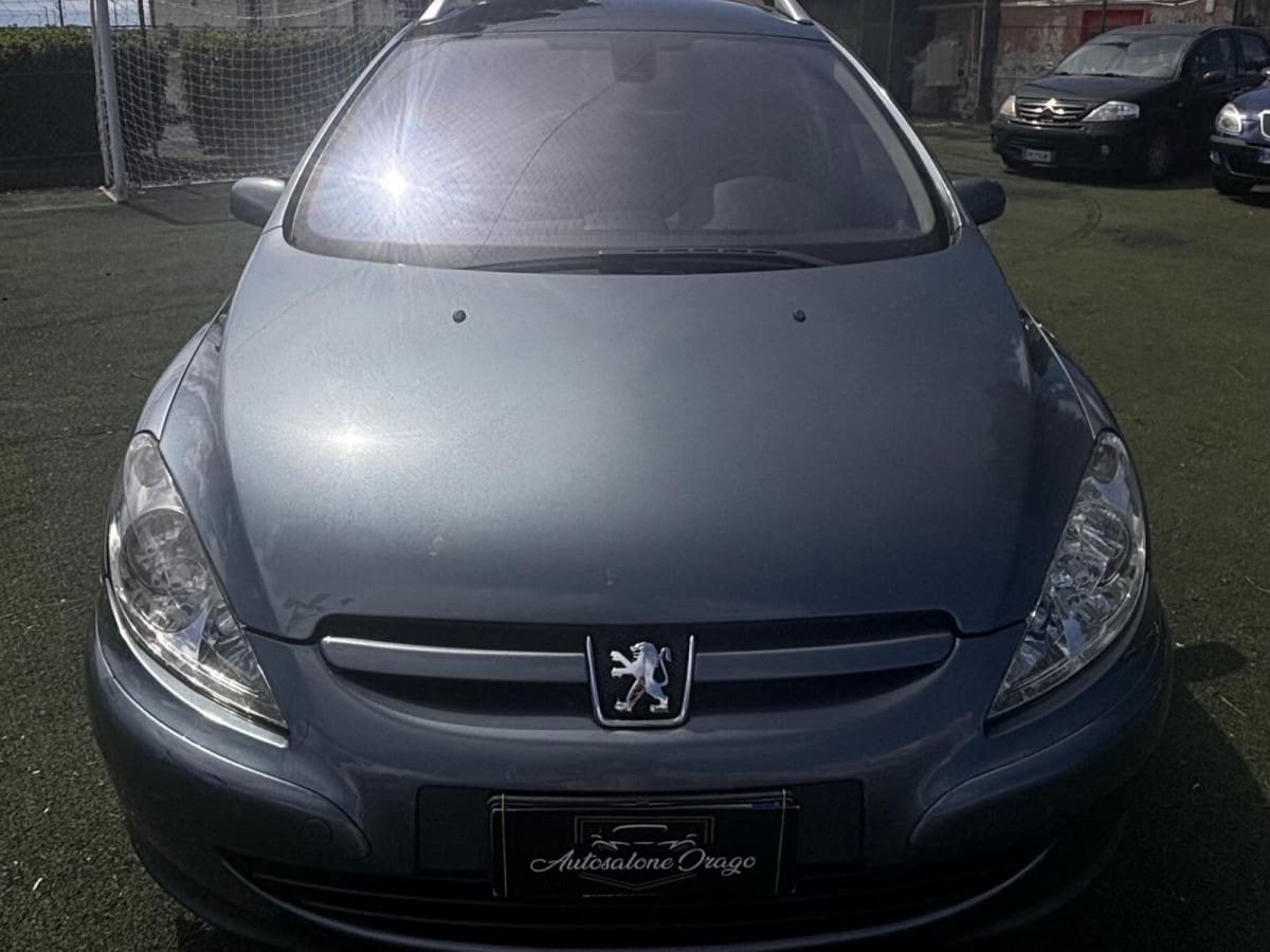 PEUGEOT 307 20