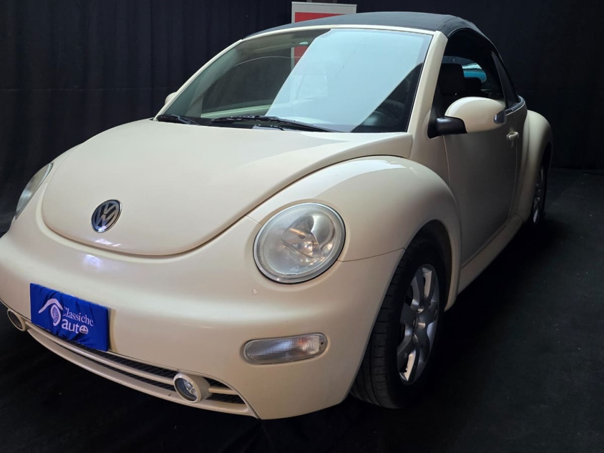VOLKSWAGEN New Beetle 8