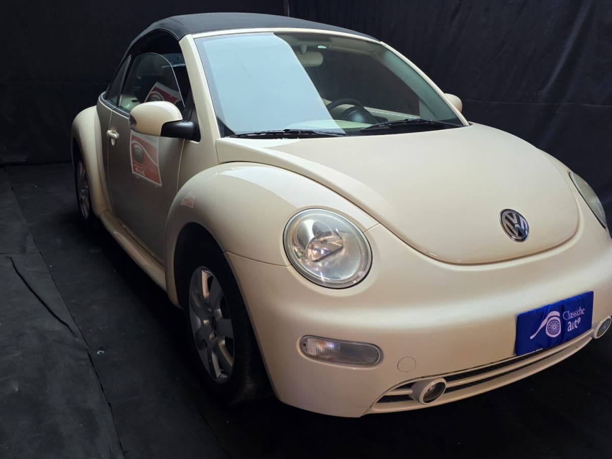 VOLKSWAGEN New Beetle 13
