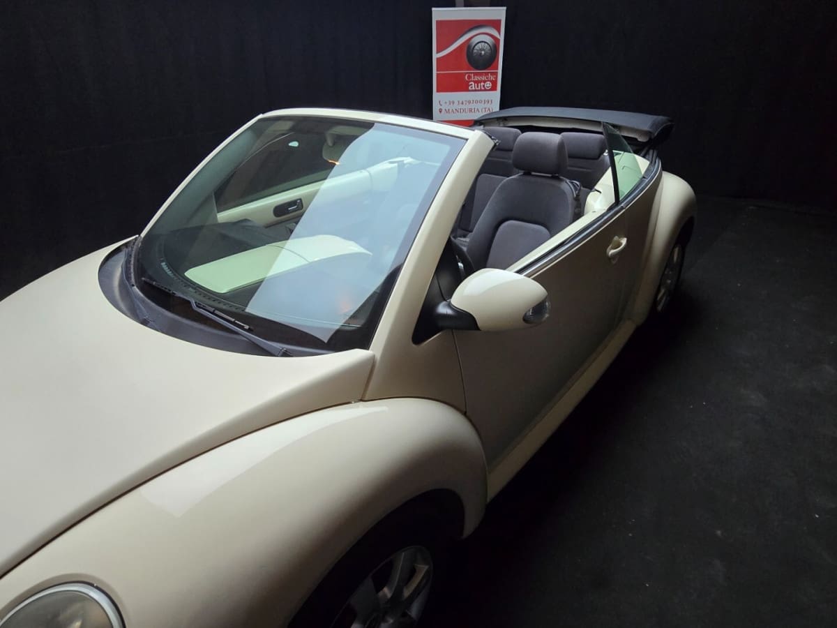 VOLKSWAGEN New Beetle 14