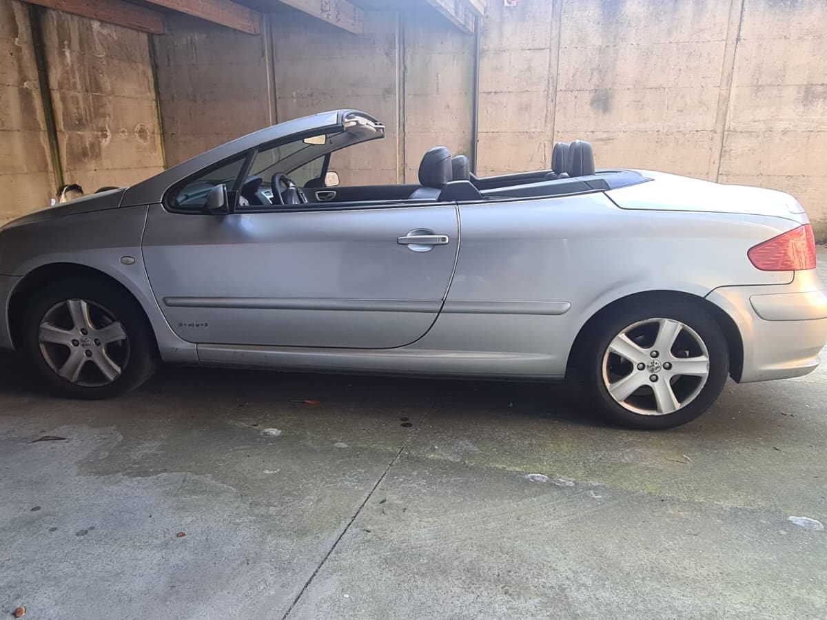 PEUGEOT 307 109800744