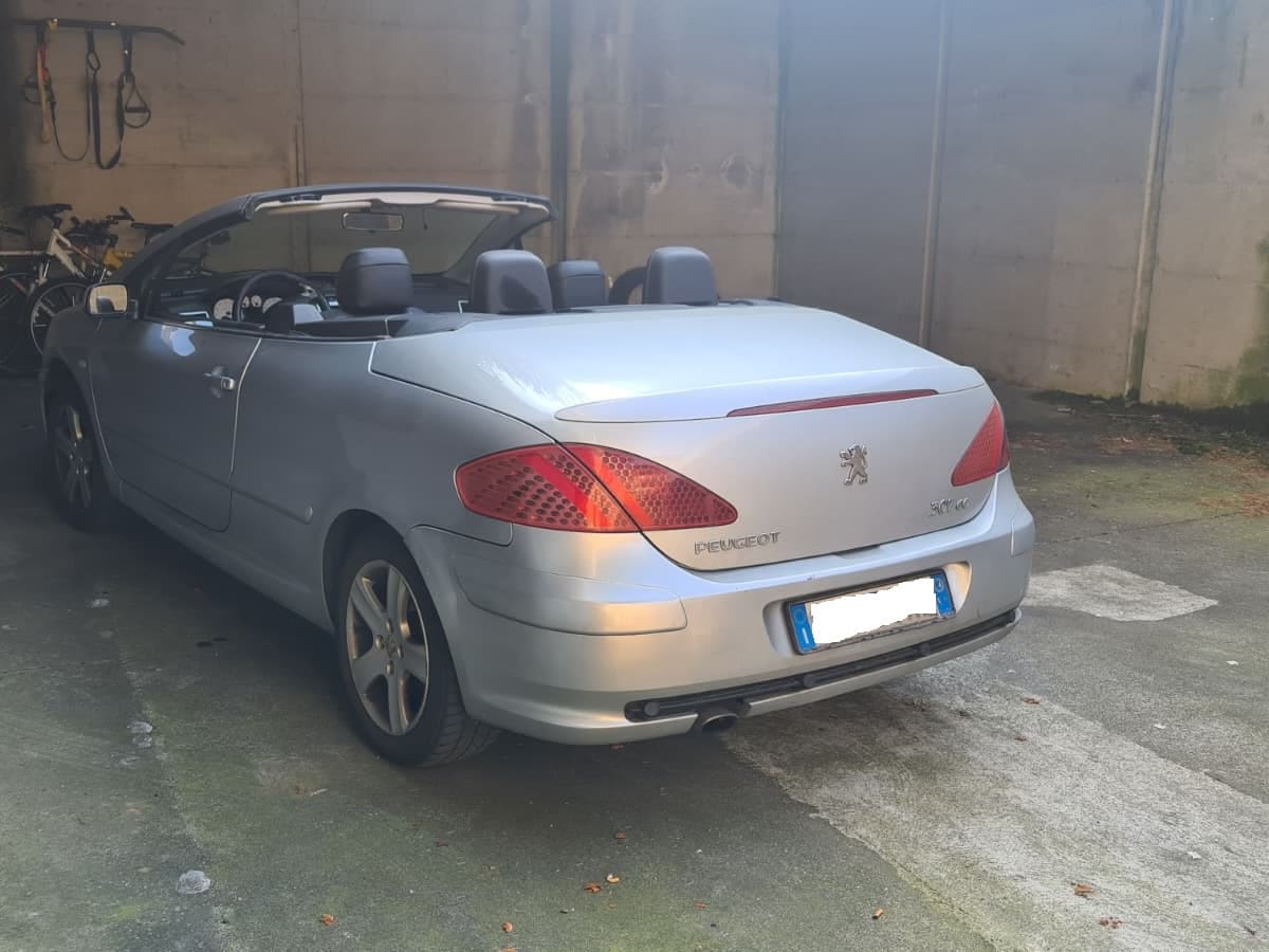PEUGEOT 307 3