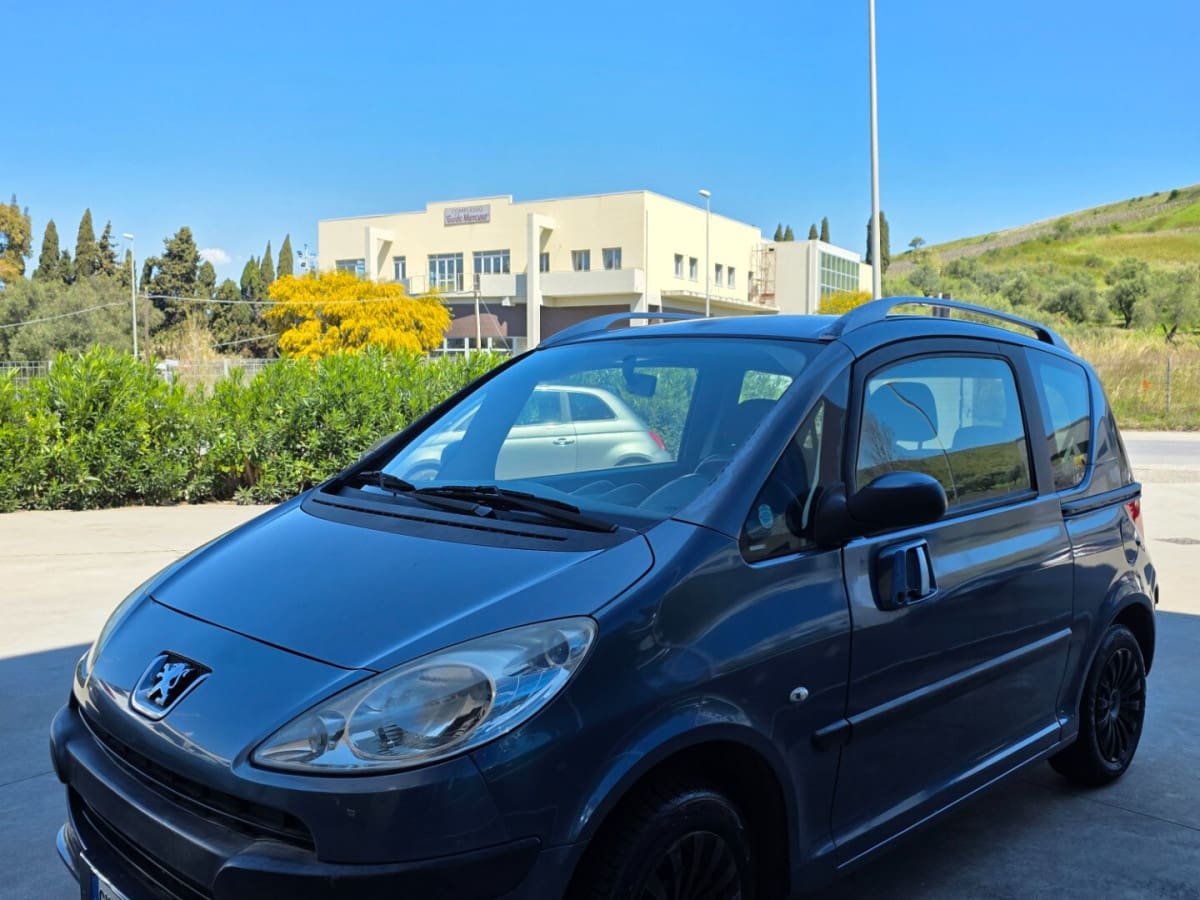 PEUGEOT 1007 20