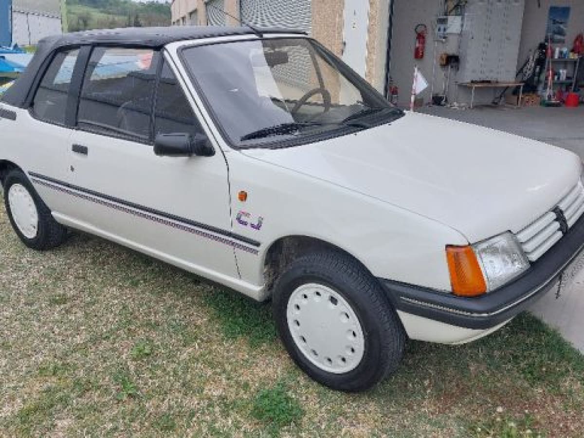 PEUGEOT 205 8