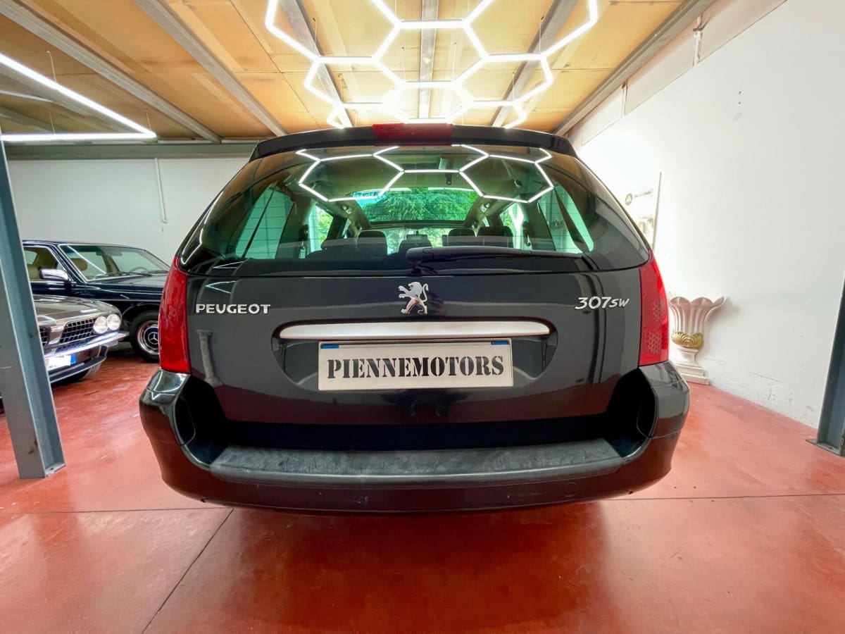 PEUGEOT 307 8