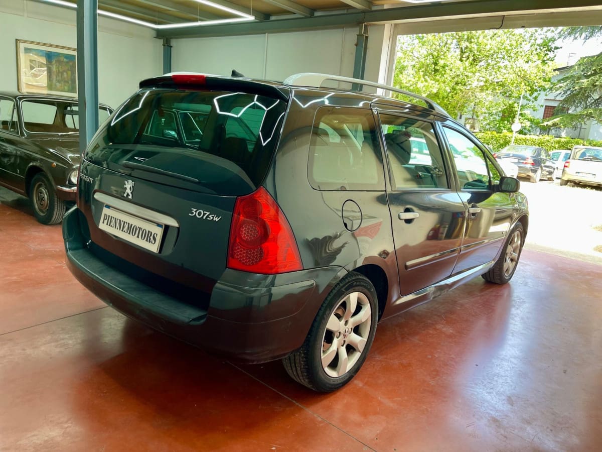 PEUGEOT 307 9
