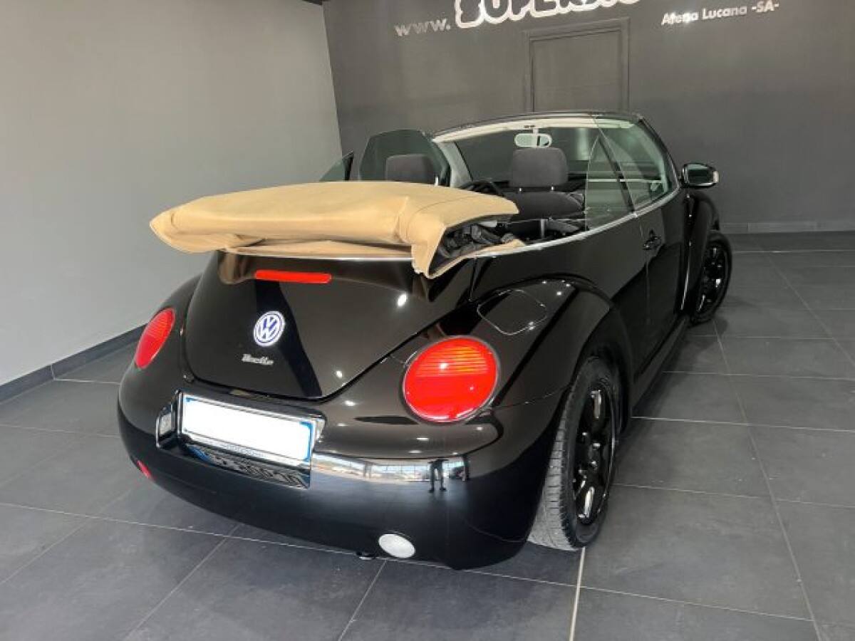 VOLKSWAGEN New Beetle 9