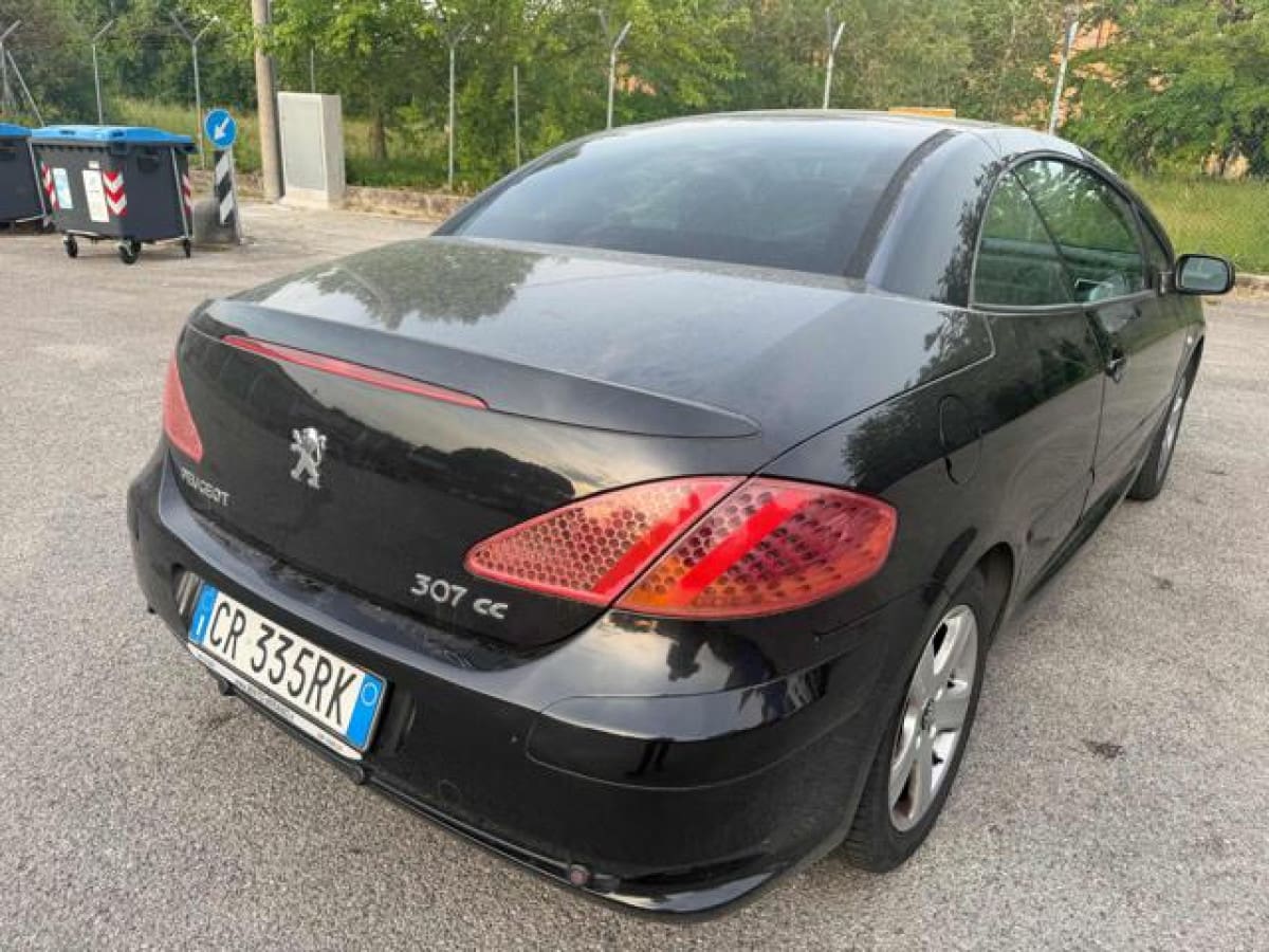 PEUGEOT 307 11