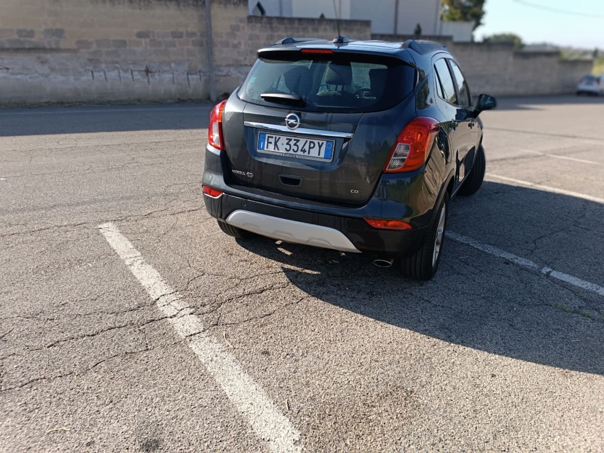 image desc