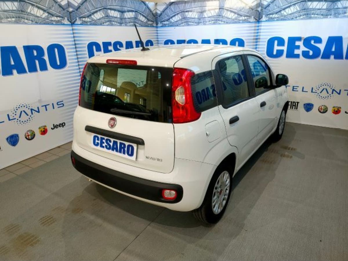 image desc