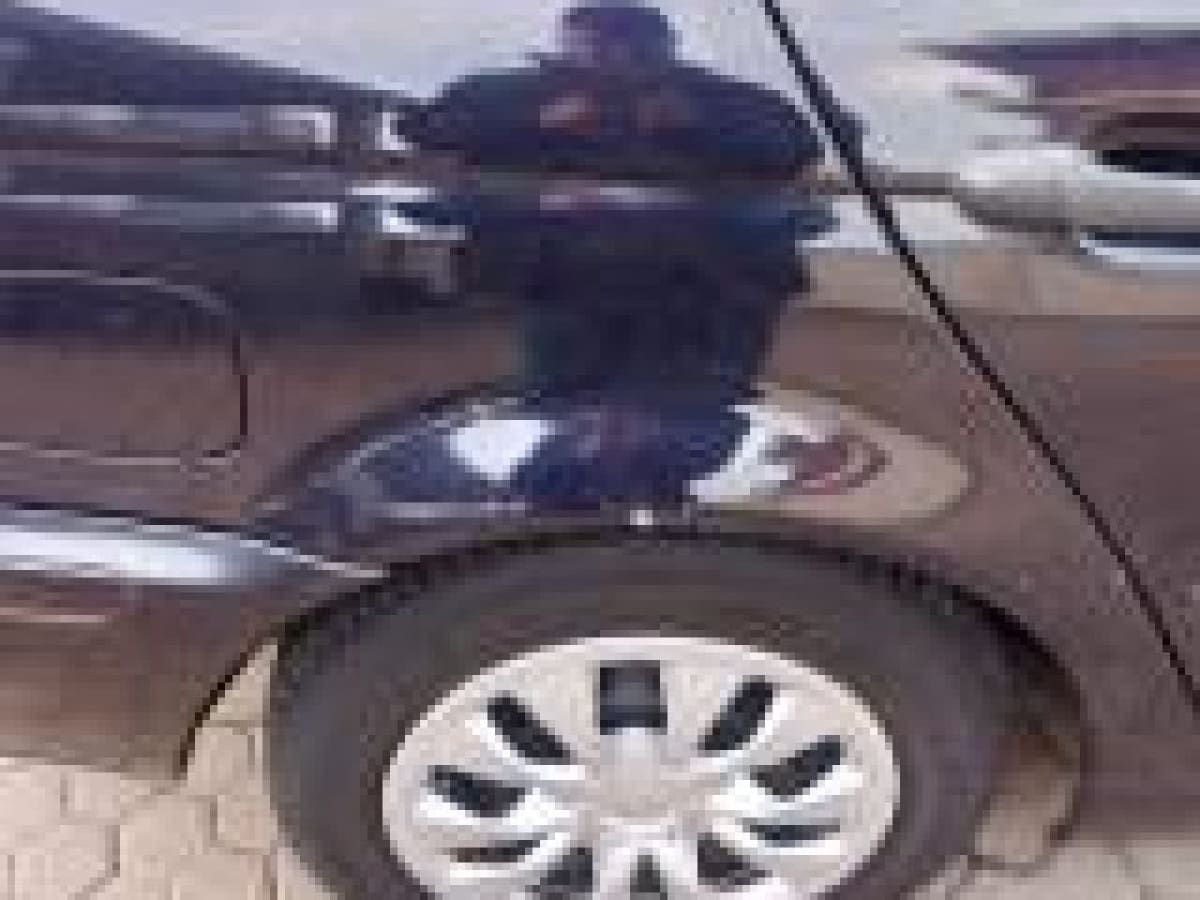 image desc
