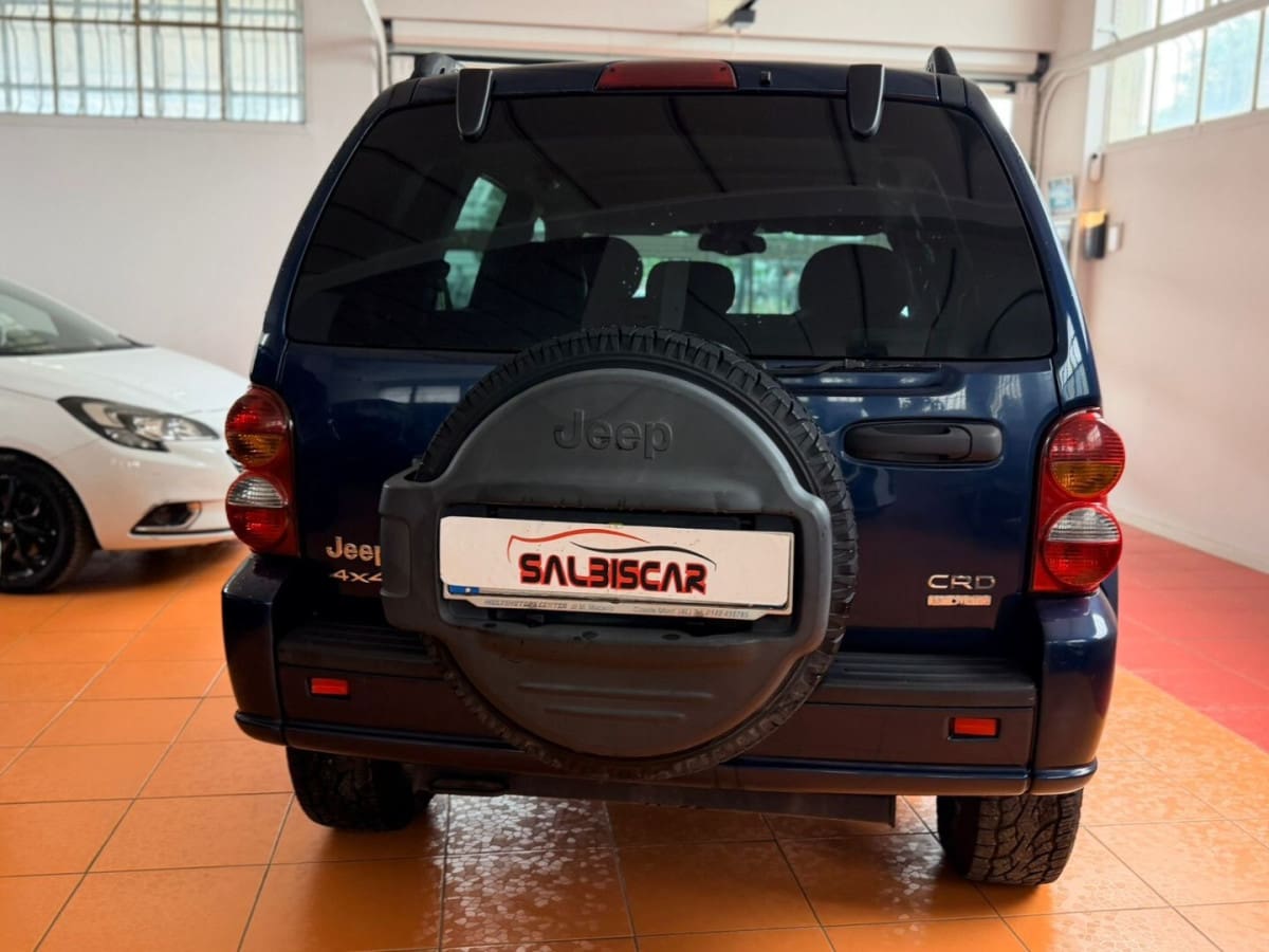 JEEP Cherokee 2ª serie 12