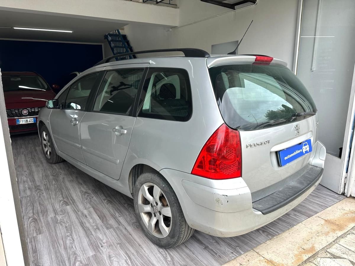 PEUGEOT 307 25