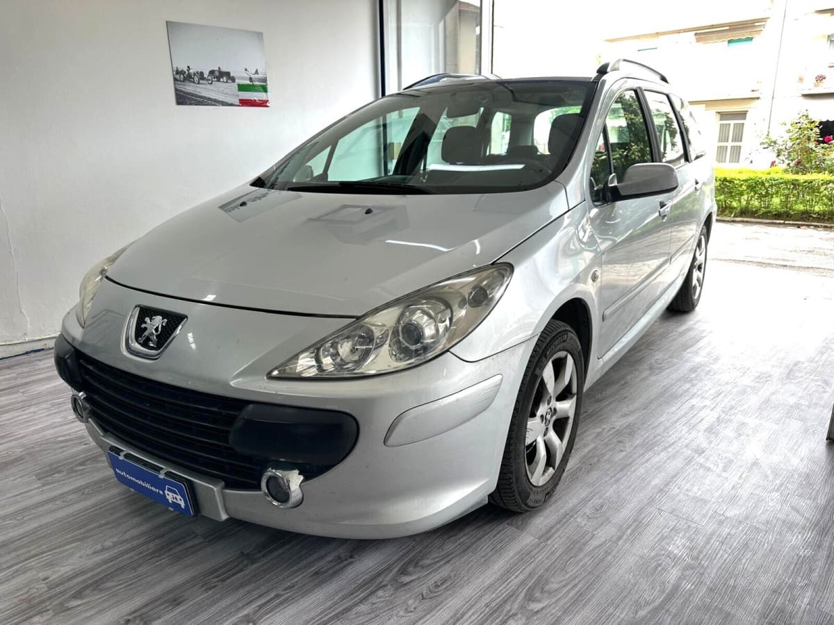 PEUGEOT 307 110000155